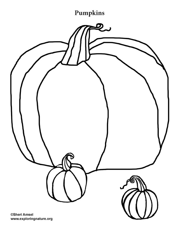 130+ Pumpkin Adult Coloring Pages: Fall in Love with These Designs 100