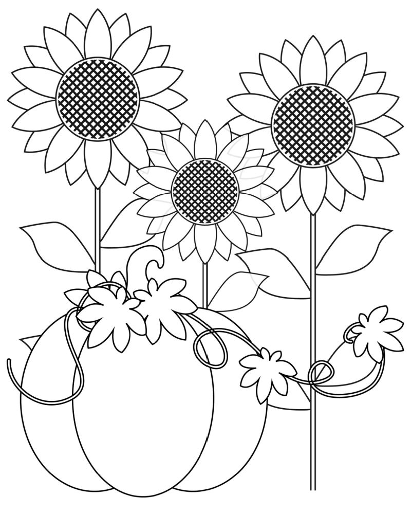 130+ Pumpkin Adult Coloring Pages: Fall in Love with These Designs 103