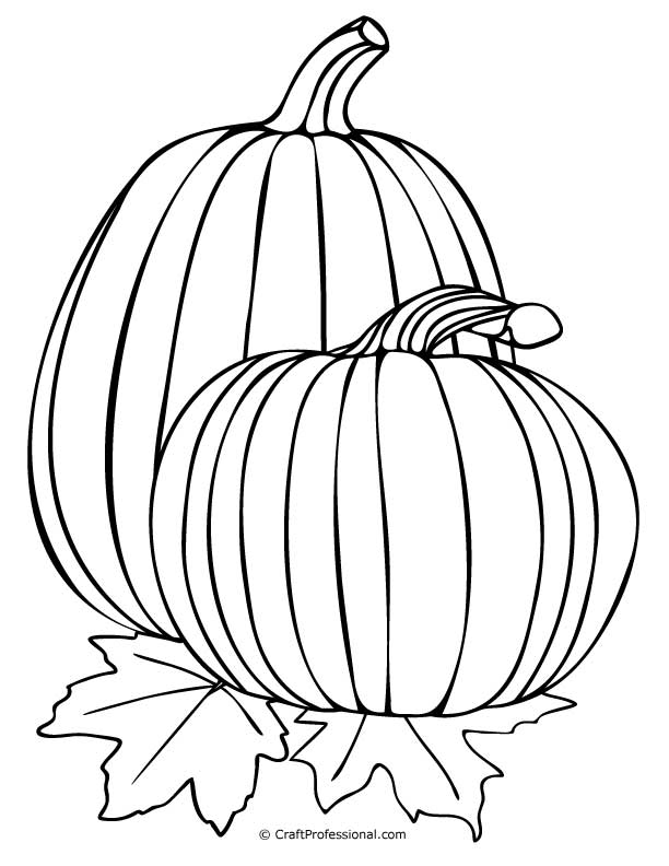 130+ Pumpkin Adult Coloring Pages: Fall in Love with These Designs 111