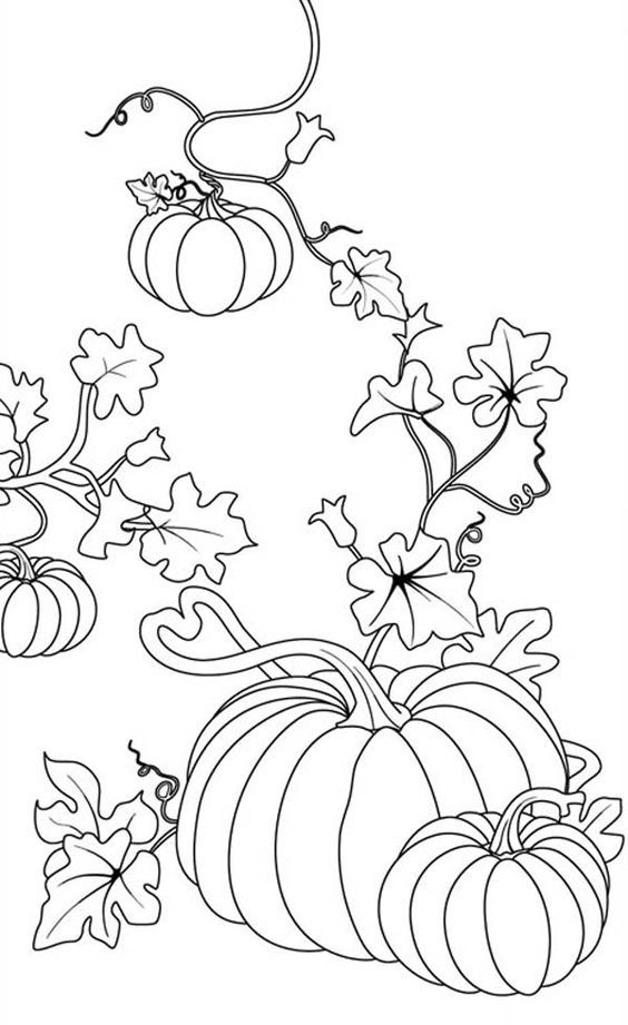 130+ Pumpkin Adult Coloring Pages: Fall in Love with These Designs 115