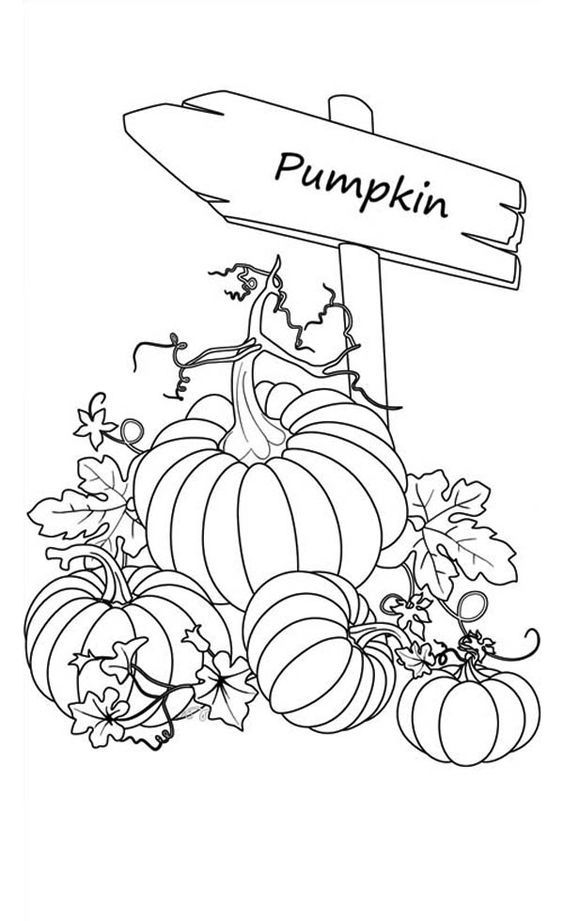 130+ Pumpkin Adult Coloring Pages: Fall in Love with These Designs 120