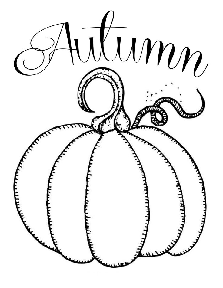 130+ Pumpkin Adult Coloring Pages: Fall in Love with These Designs 50