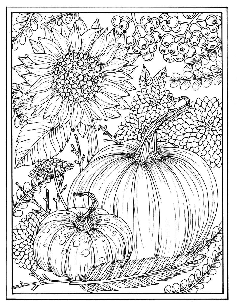 130+ Pumpkin Adult Coloring Pages: Fall in Love with These Designs 52