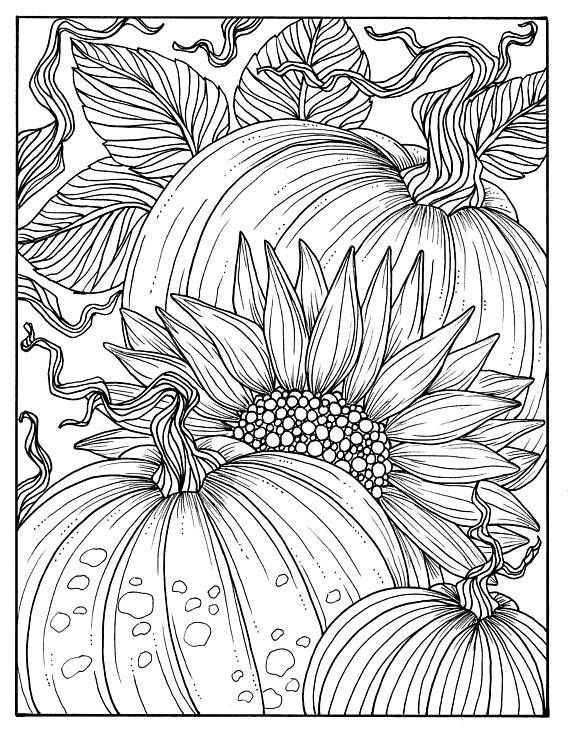 130+ Pumpkin Adult Coloring Pages: Fall in Love with These Designs 76