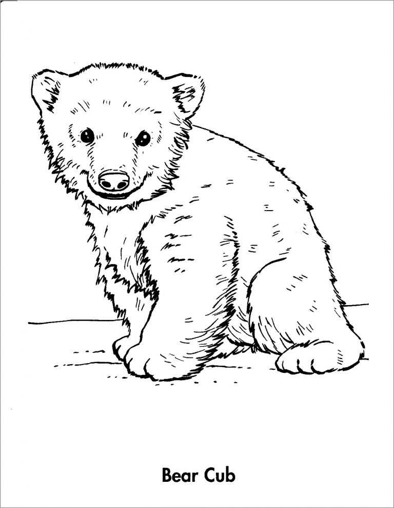 200 Little Bear Coloring Pages 116