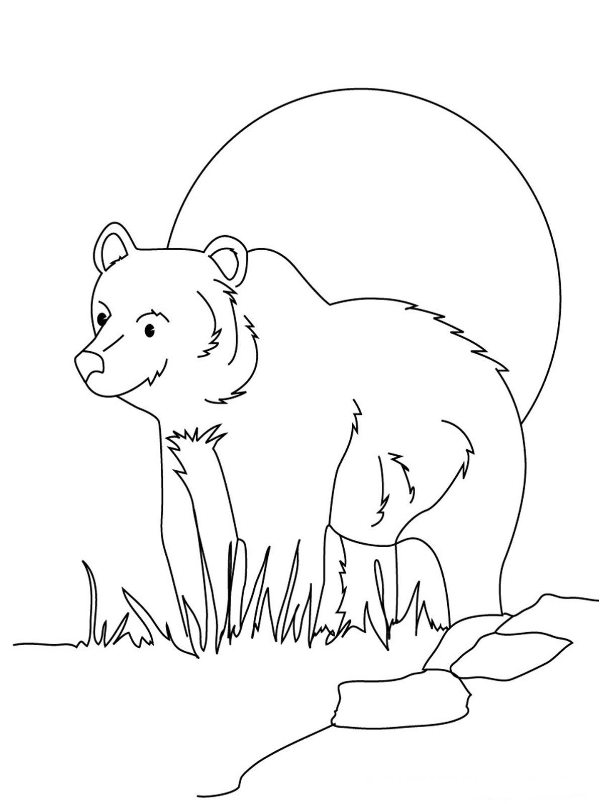 200 Little Bear Coloring Pages 121