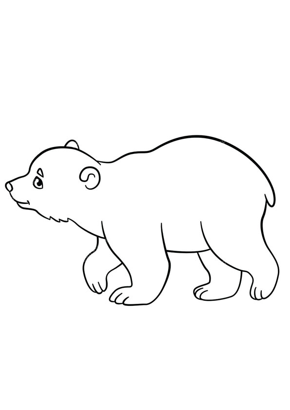 200 Little Bear Coloring Pages 134