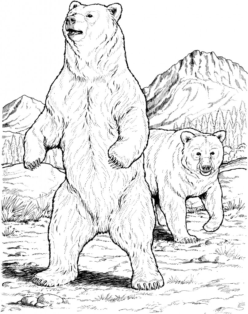 200 Little Bear Coloring Pages 140