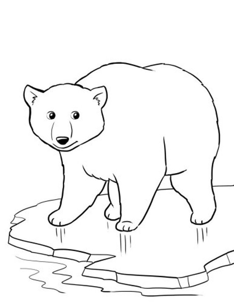 200 Little Bear Coloring Pages 149