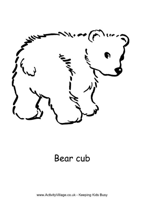 200 Little Bear Coloring Pages 150