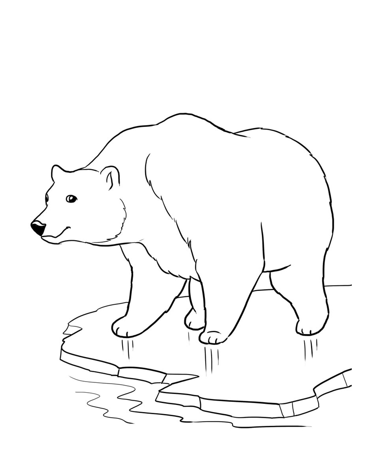 200 Little Bear Coloring Pages 152