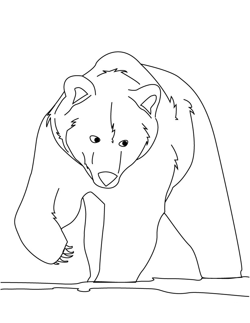 200 Little Bear Coloring Pages 22