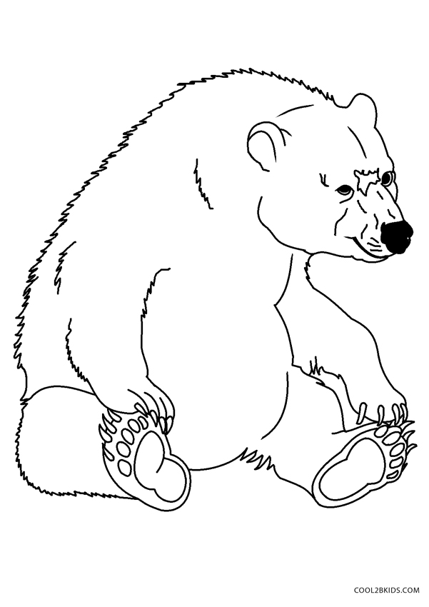 200 Little Bear Coloring Pages 25