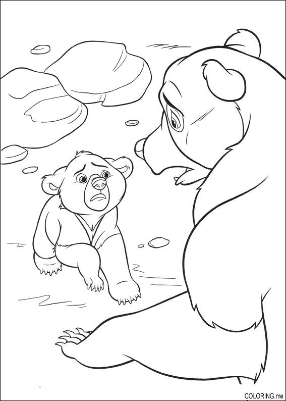 200 Little Bear Coloring Pages 29