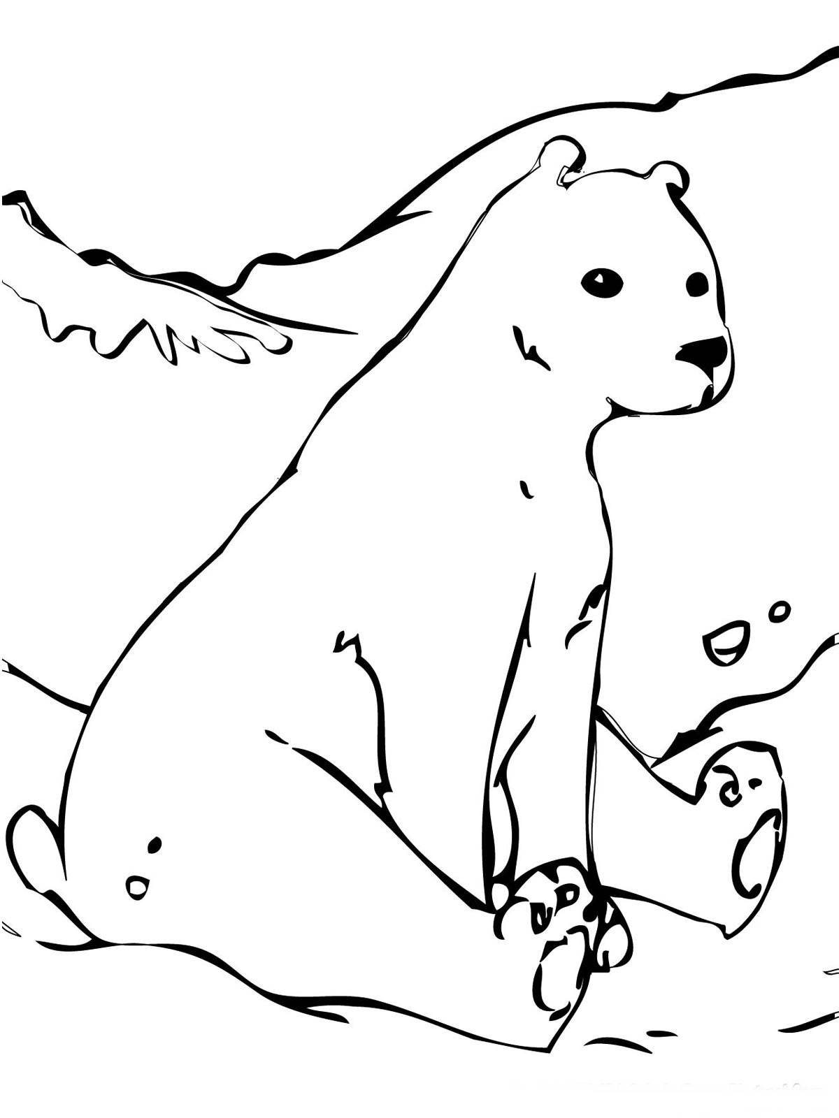 200 Little Bear Coloring Pages 53