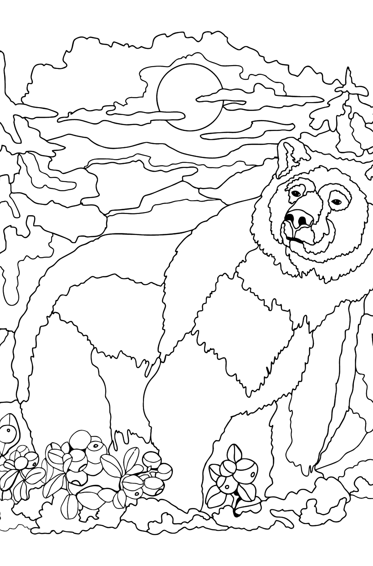 200 Little Bear Coloring Pages 57