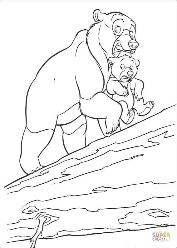 200 Little Bear Coloring Pages 58