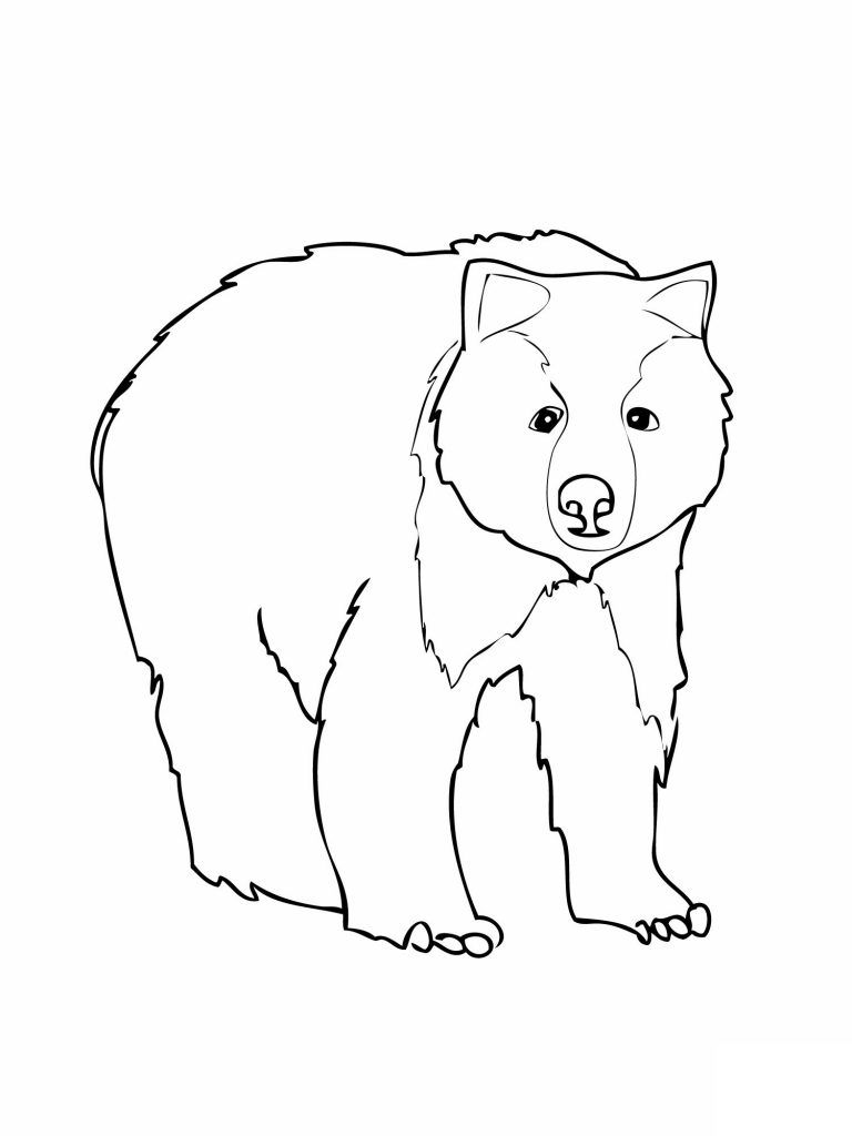 200 Little Bear Coloring Pages 69