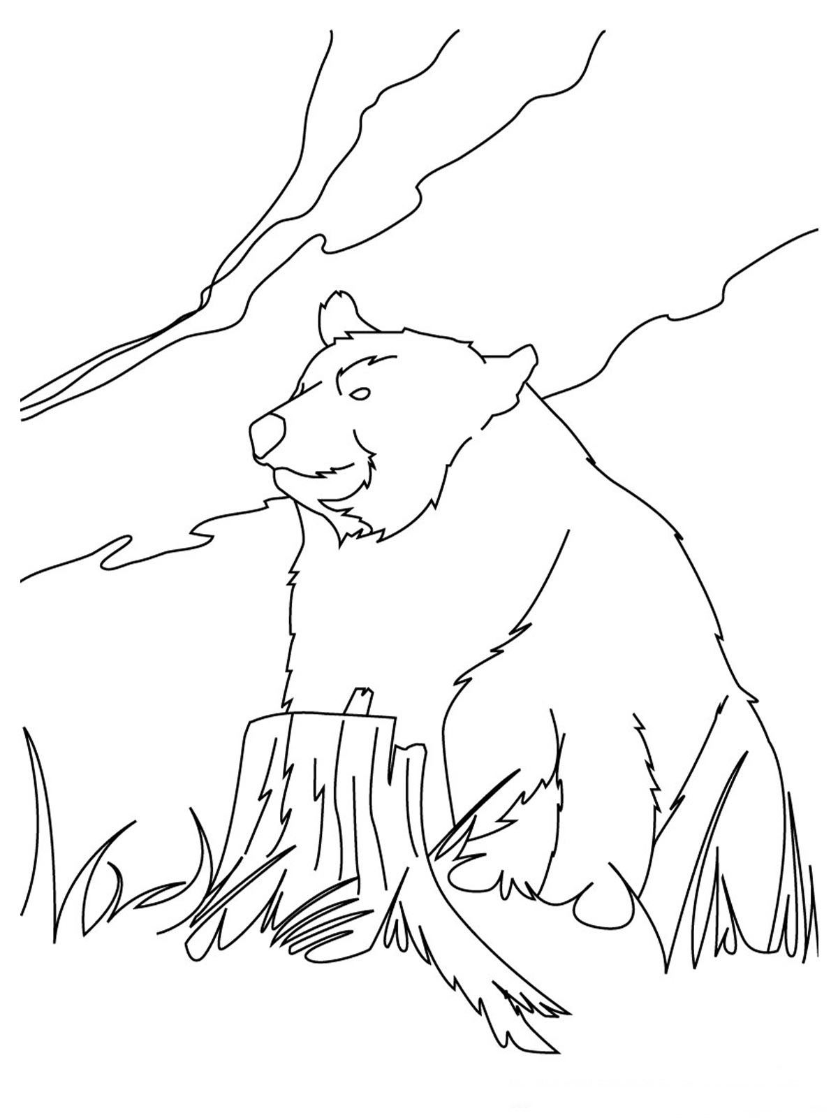 200 Little Bear Coloring Pages 70