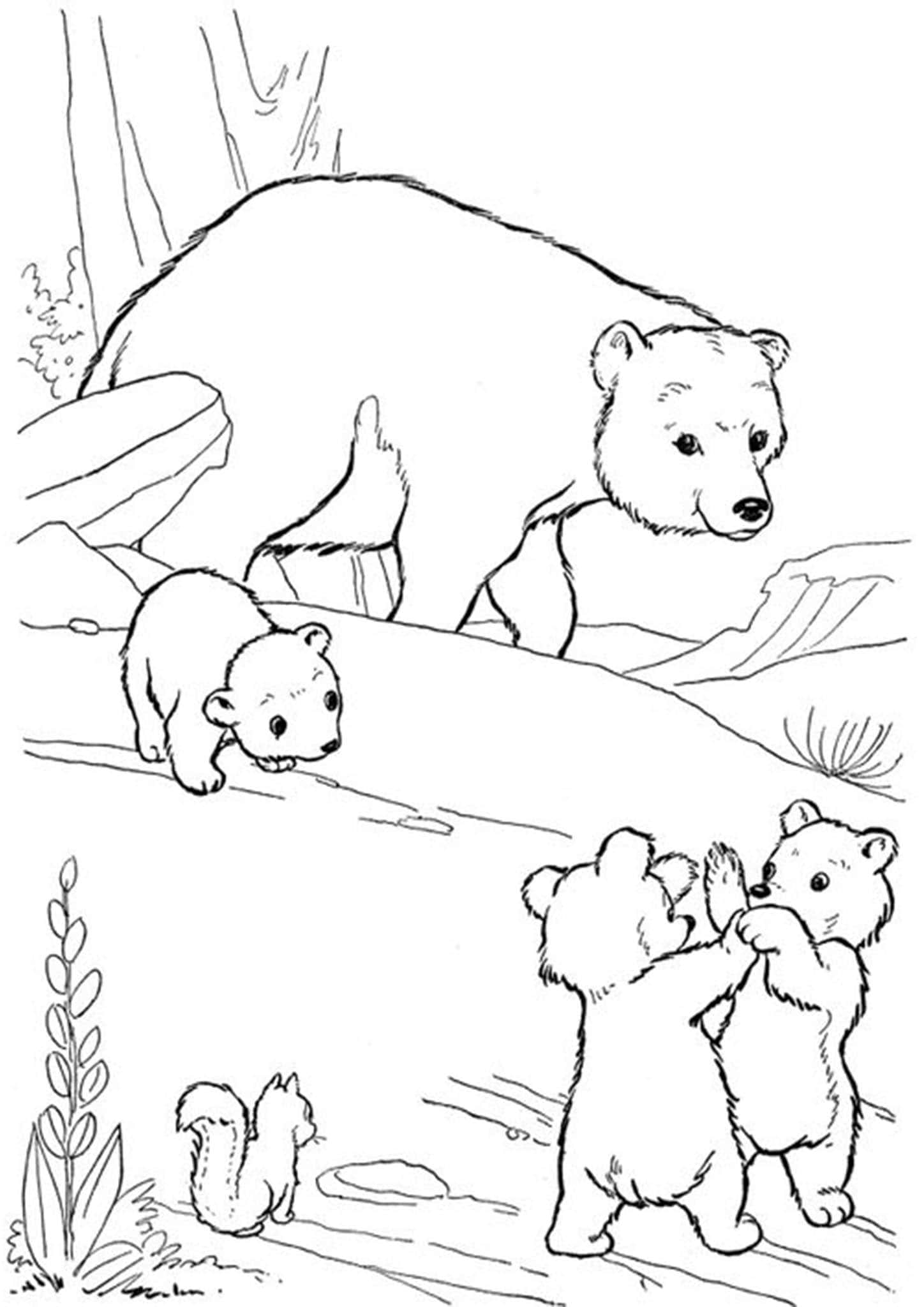 200 Little Bear Coloring Pages 97