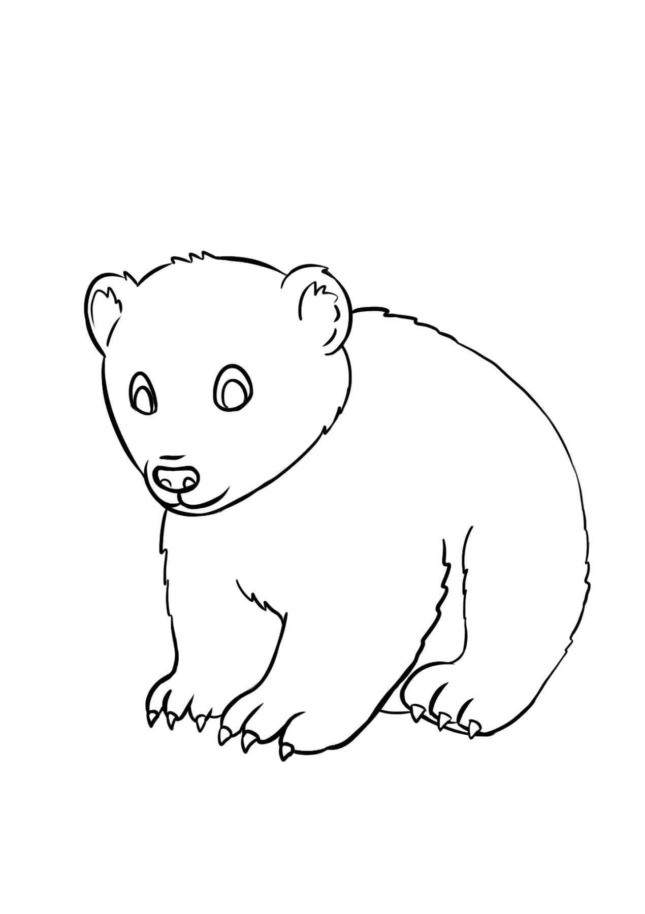 200 Little Bear Coloring Pages 98