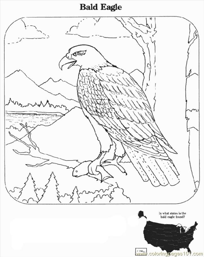 50 Football Helmet Coloring Pages Free Printable 87