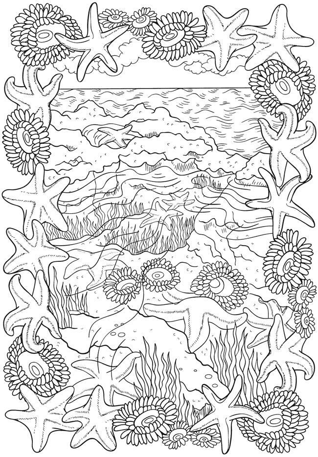 90+ Beach Theme Coloring Pages: Relax and Color by the Shore 110