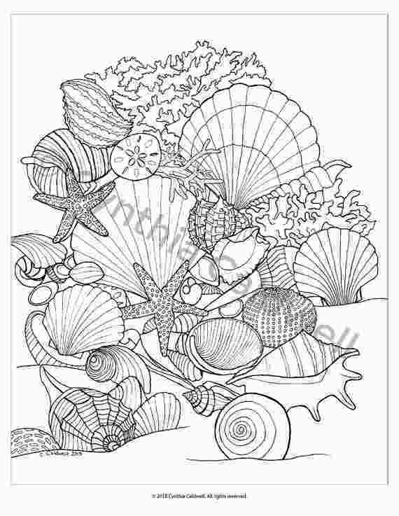 90+ Beach Theme Coloring Pages: Relax and Color by the Shore 72