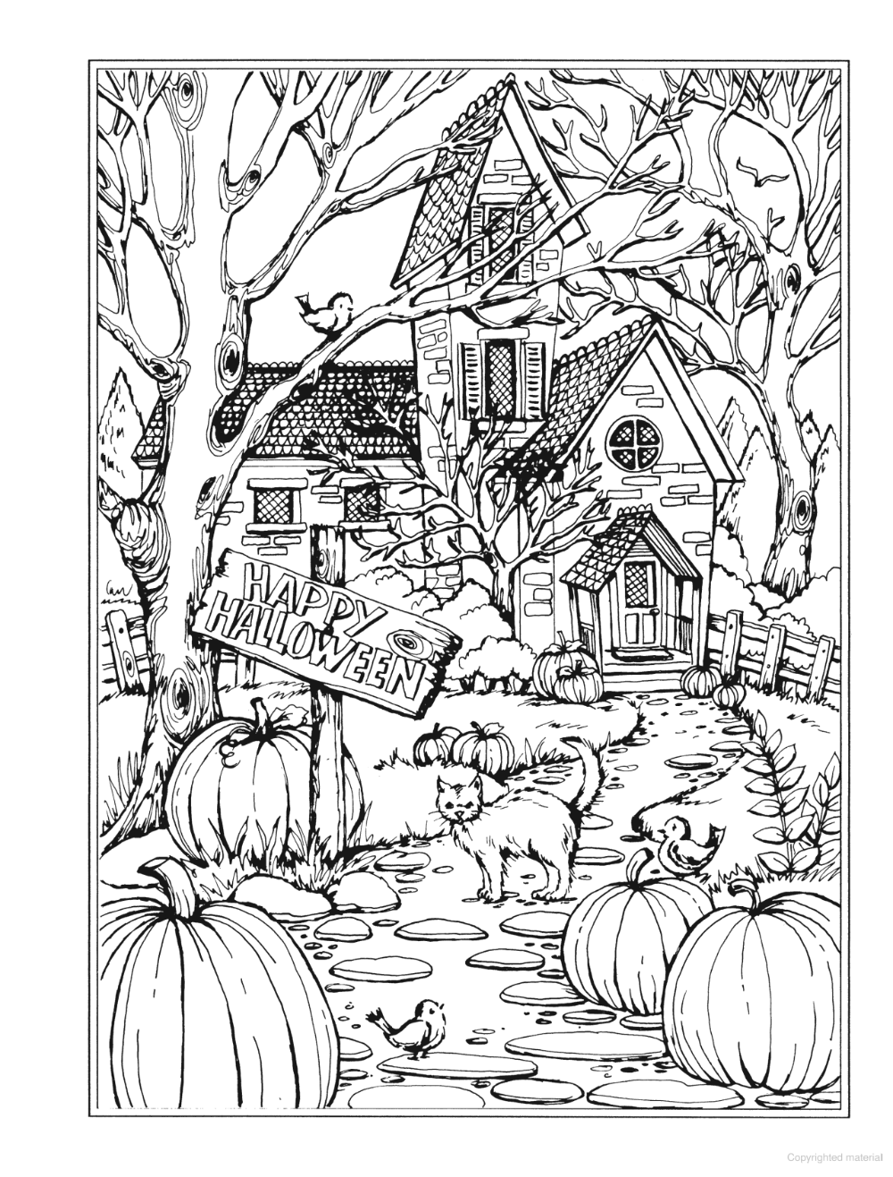 Explore the Village: 100 Charming Village Scenes to Color 3