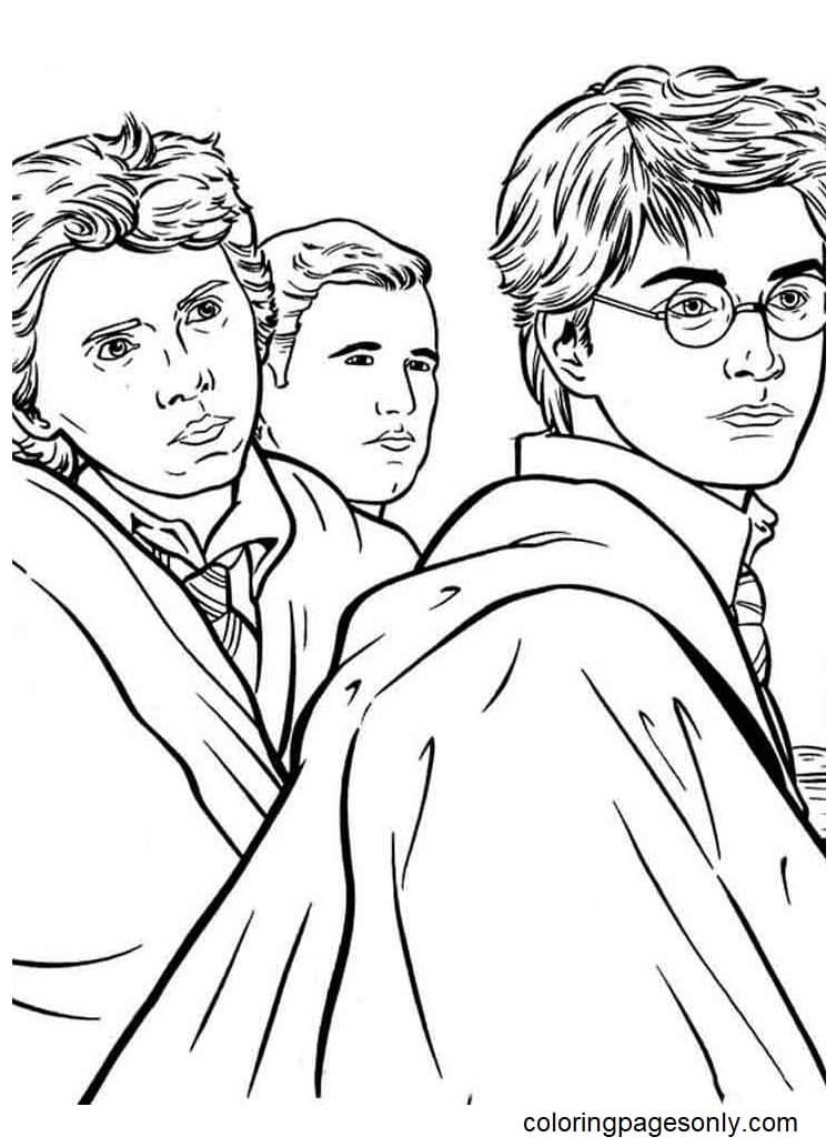 Harry Potter Coloring Pages: 170+ Wizarding World Wonders for Magical Moments 16