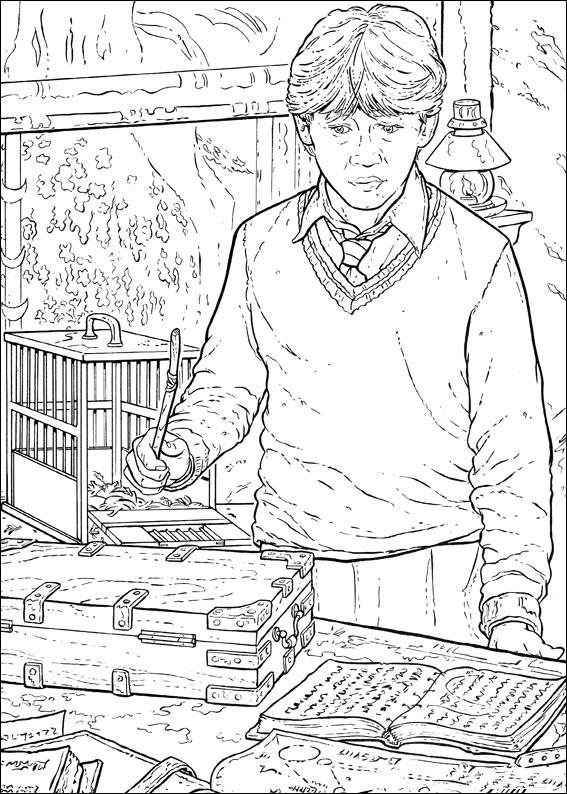 Harry Potter Coloring Pages: 170+ Wizarding World Wonders for Magical Moments 37