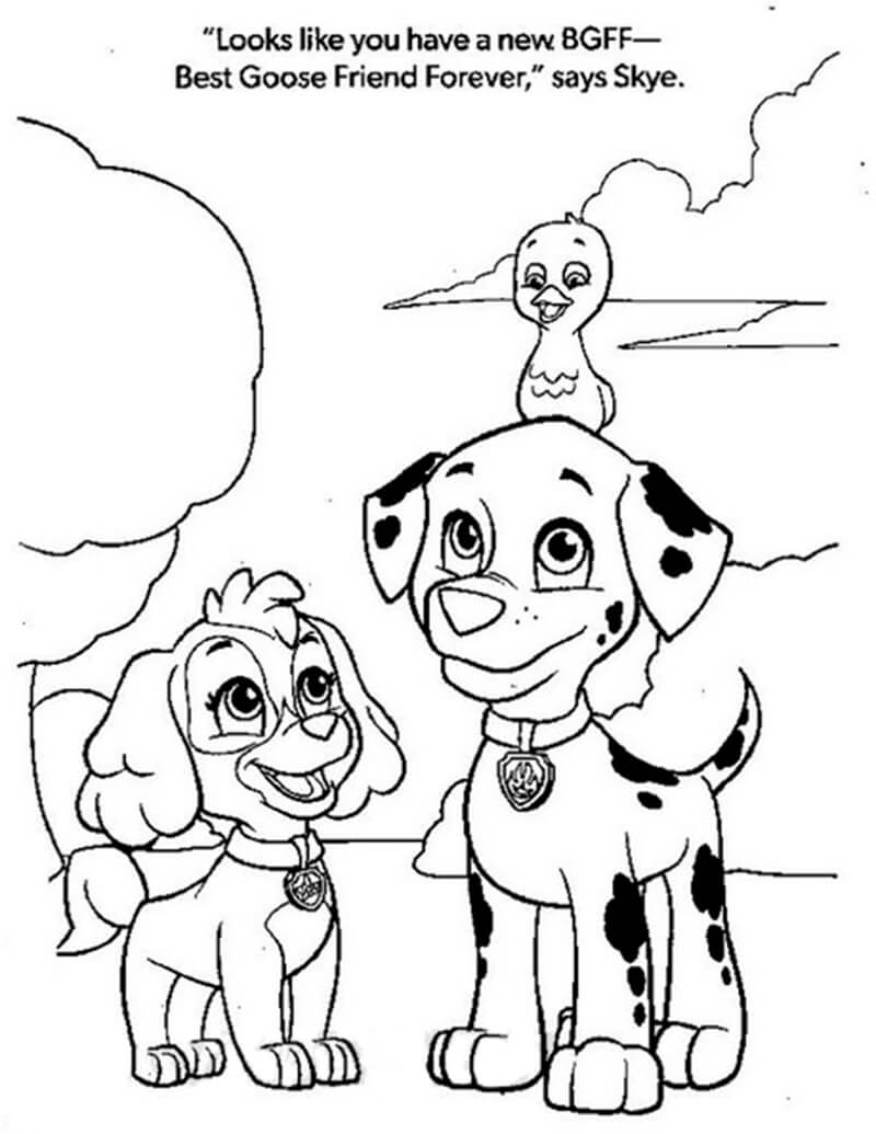 169+ Paw Patrol Coloring Pages FREE Printable 131