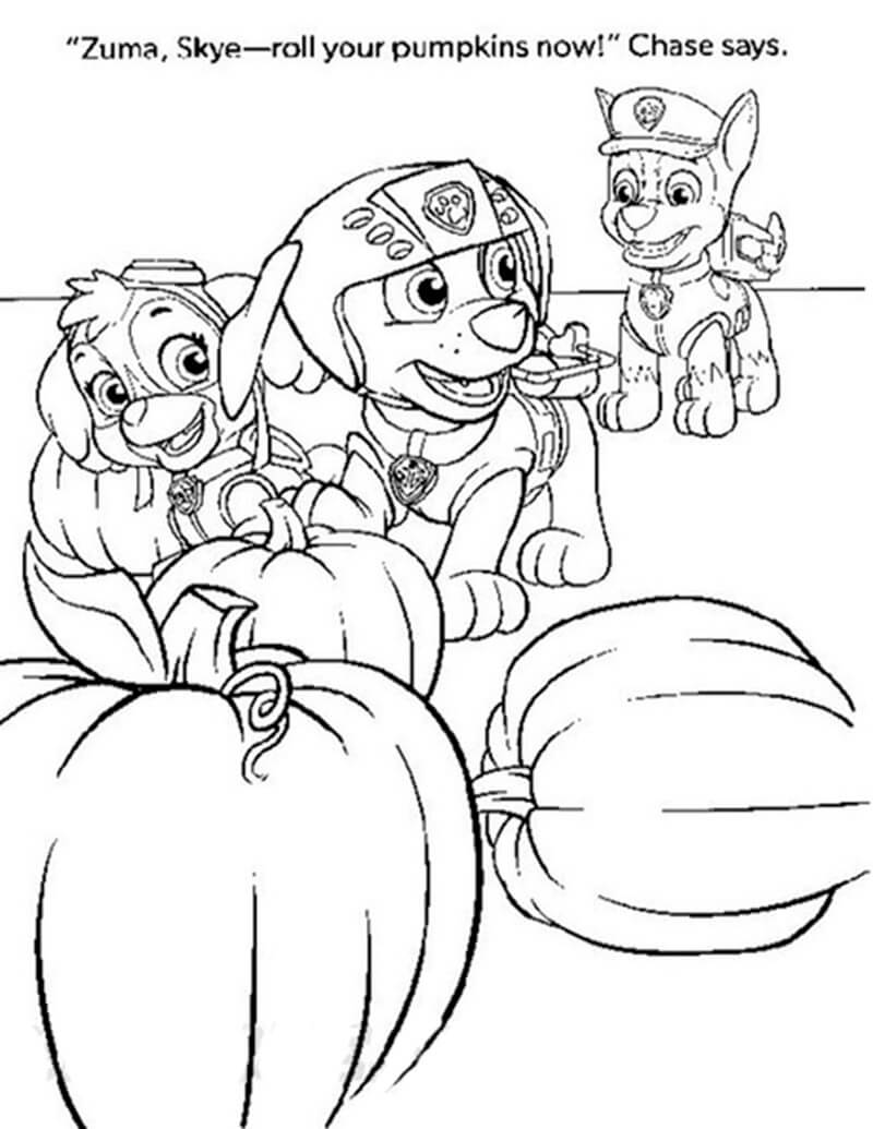 169+ Paw Patrol Coloring Pages FREE Printable 135