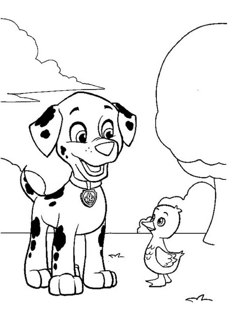 169+ Paw Patrol Coloring Pages FREE Printable 137