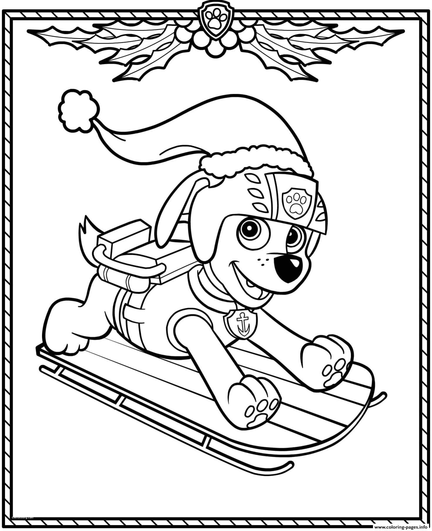 169+ Paw Patrol Coloring Pages FREE Printable 35