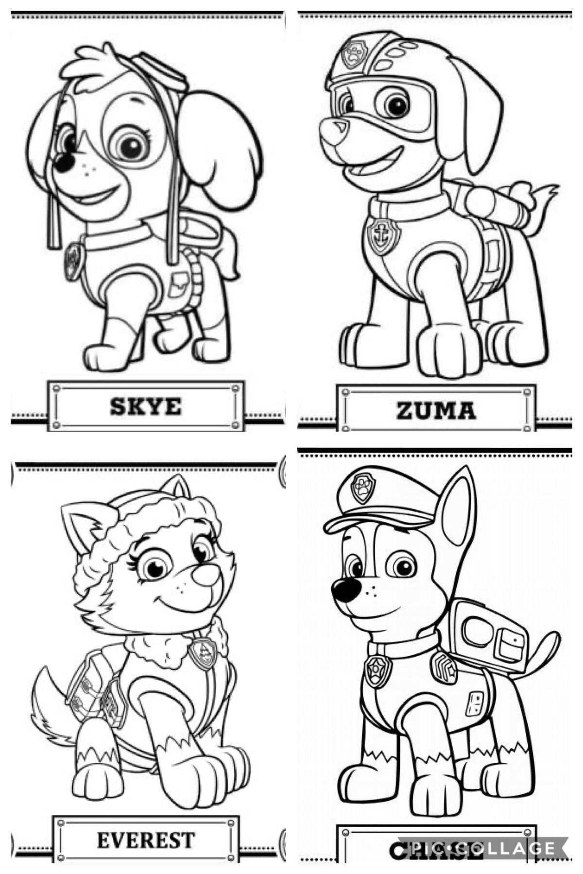 169+ Paw Patrol Coloring Pages FREE Printable 40