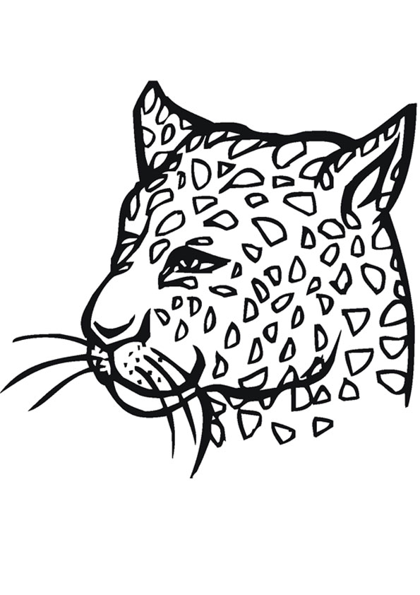 200+ Coloring Page of a Cheetah: Roar with Coloring Excitement 104