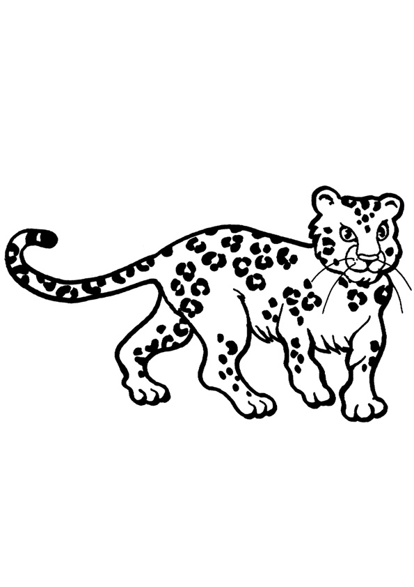 200+ Coloring Page of a Cheetah: Roar with Coloring Excitement 107