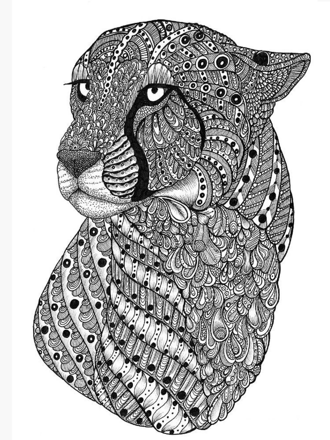 200+ Coloring Page of a Cheetah: Roar with Coloring Excitement 11