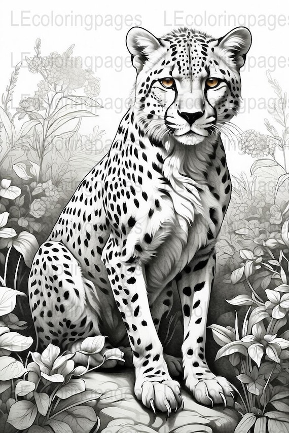 200+ Coloring Page of a Cheetah: Roar with Coloring Excitement 114