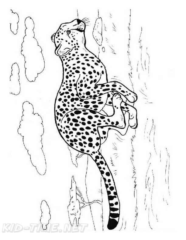 200+ Coloring Page of a Cheetah: Roar with Coloring Excitement 129