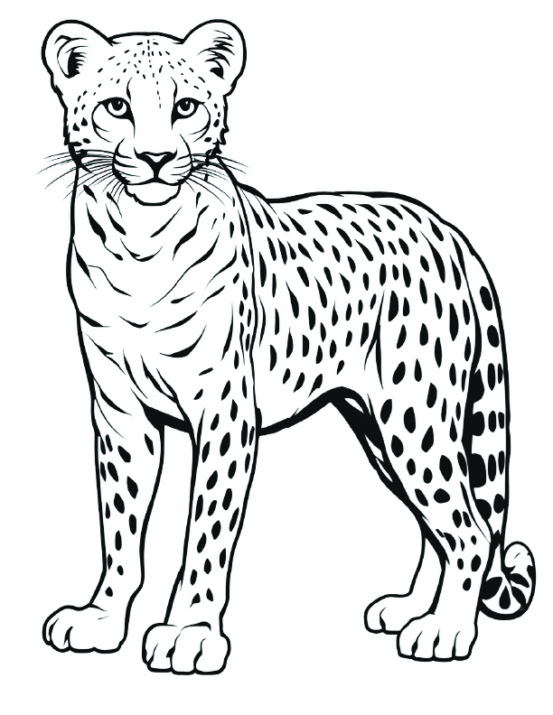 200+ Coloring Page of a Cheetah: Roar with Coloring Excitement 132