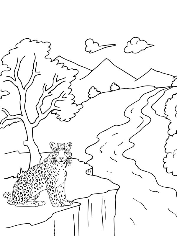 200+ Coloring Page of a Cheetah: Roar with Coloring Excitement 139