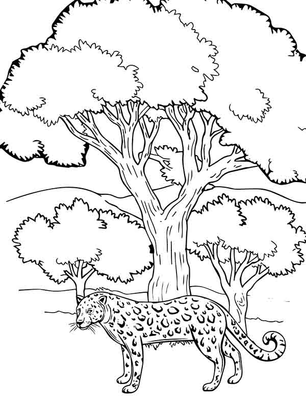 200+ Coloring Page of a Cheetah: Roar with Coloring Excitement 140