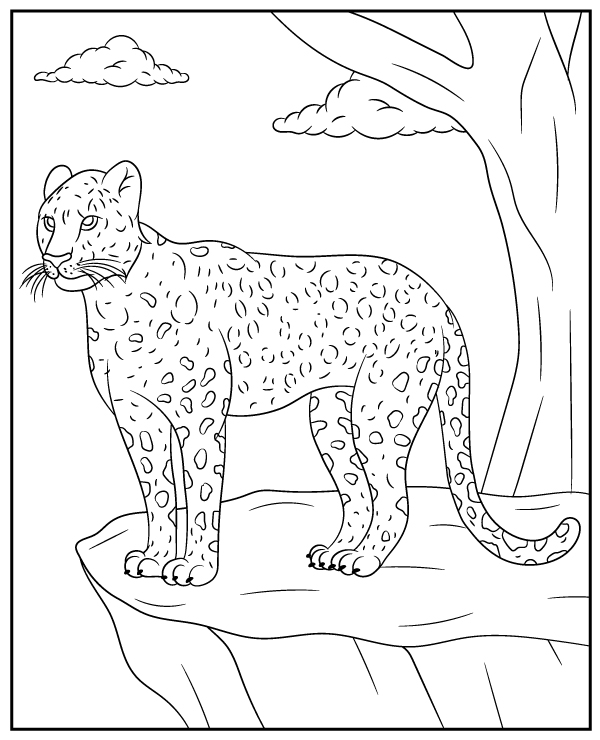 200+ Coloring Page of a Cheetah: Roar with Coloring Excitement 148