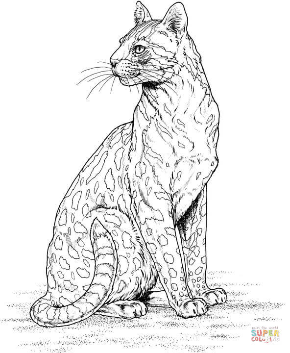 200+ Coloring Page of a Cheetah: Roar with Coloring Excitement 150