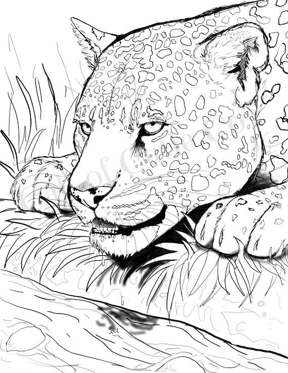 200+ Coloring Page of a Cheetah: Roar with Coloring Excitement 151