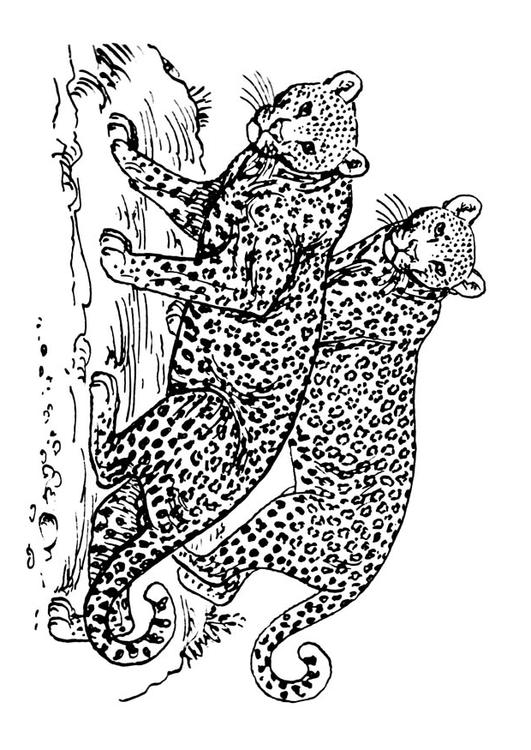 200+ Coloring Page of a Cheetah: Roar with Coloring Excitement 155