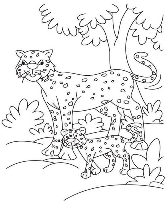 200+ Coloring Page of a Cheetah: Roar with Coloring Excitement 158