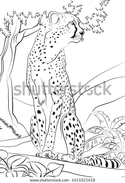 200+ Coloring Page of a Cheetah: Roar with Coloring Excitement 178